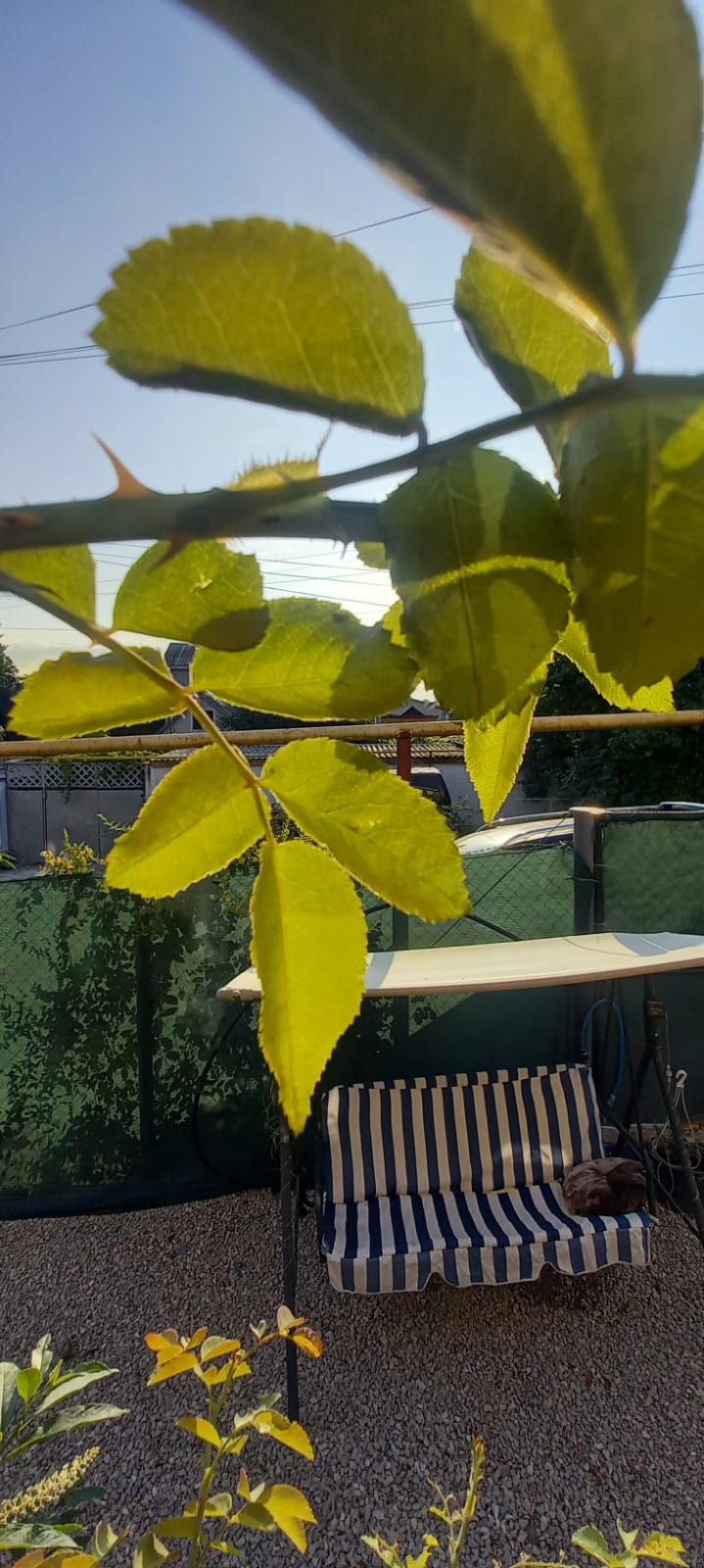 Уютный двор таунхауса у парка в Феодосии